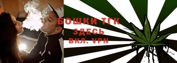 ешки Алексин