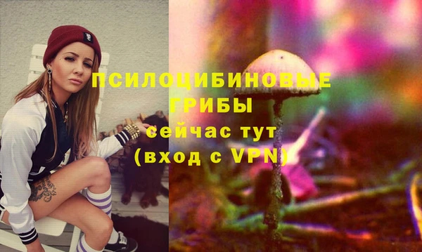 тгк Алексеевка