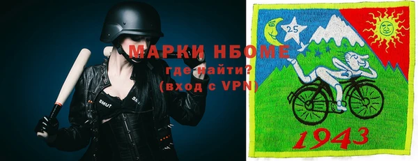 ешки Алексин