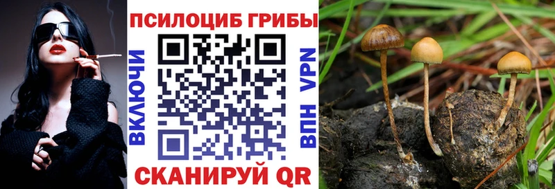Псилоцибиновые грибы MAGIC MUSHROOMS Санкт-Петербург