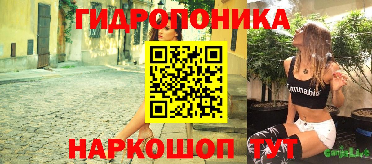 Бошки марихуана VHQ Санкт-Петербург
